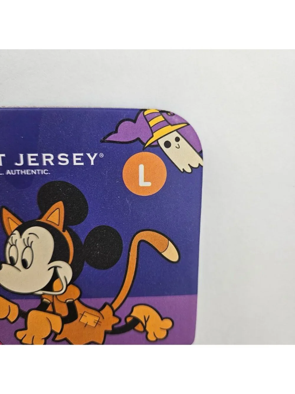 Disney pet spirit